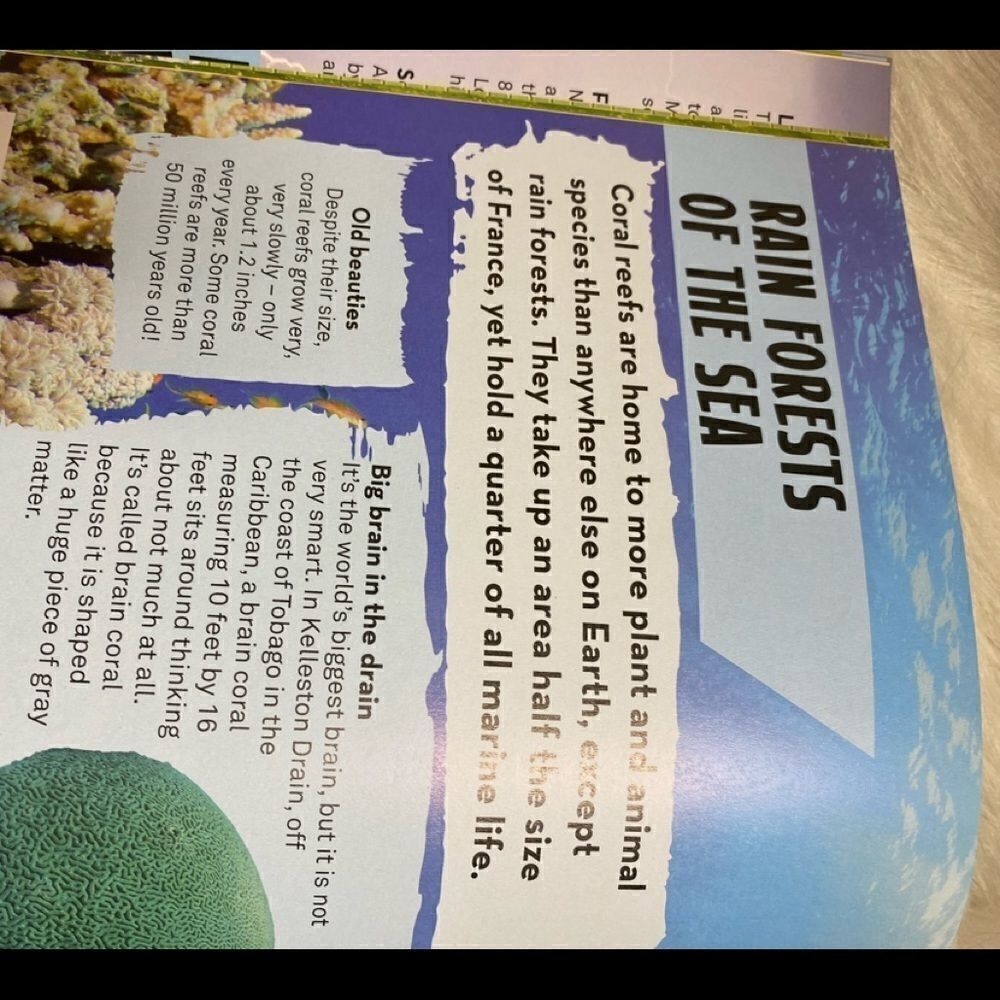 Bear Grylls Extreme Planet book - Picture 12 of 15